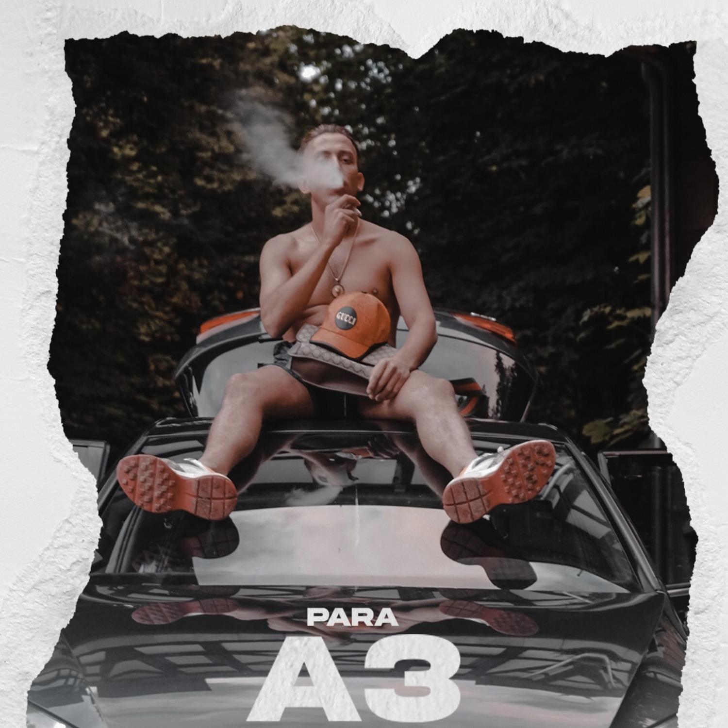 A3