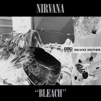 Nirvana - LOVE BUZZ