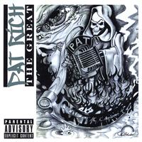 Pat Rich - Once We Were Soldiers