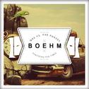 Surviving The Times (Boehm Remix)专辑