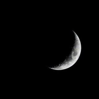 Tropical 欧美 | 热带清新净澈之道