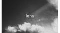 Luna专辑