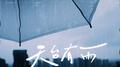 天台有雨专辑