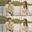 碎碎念的Nightwish
