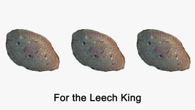 LEECH KING