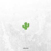 cactus extra smooth