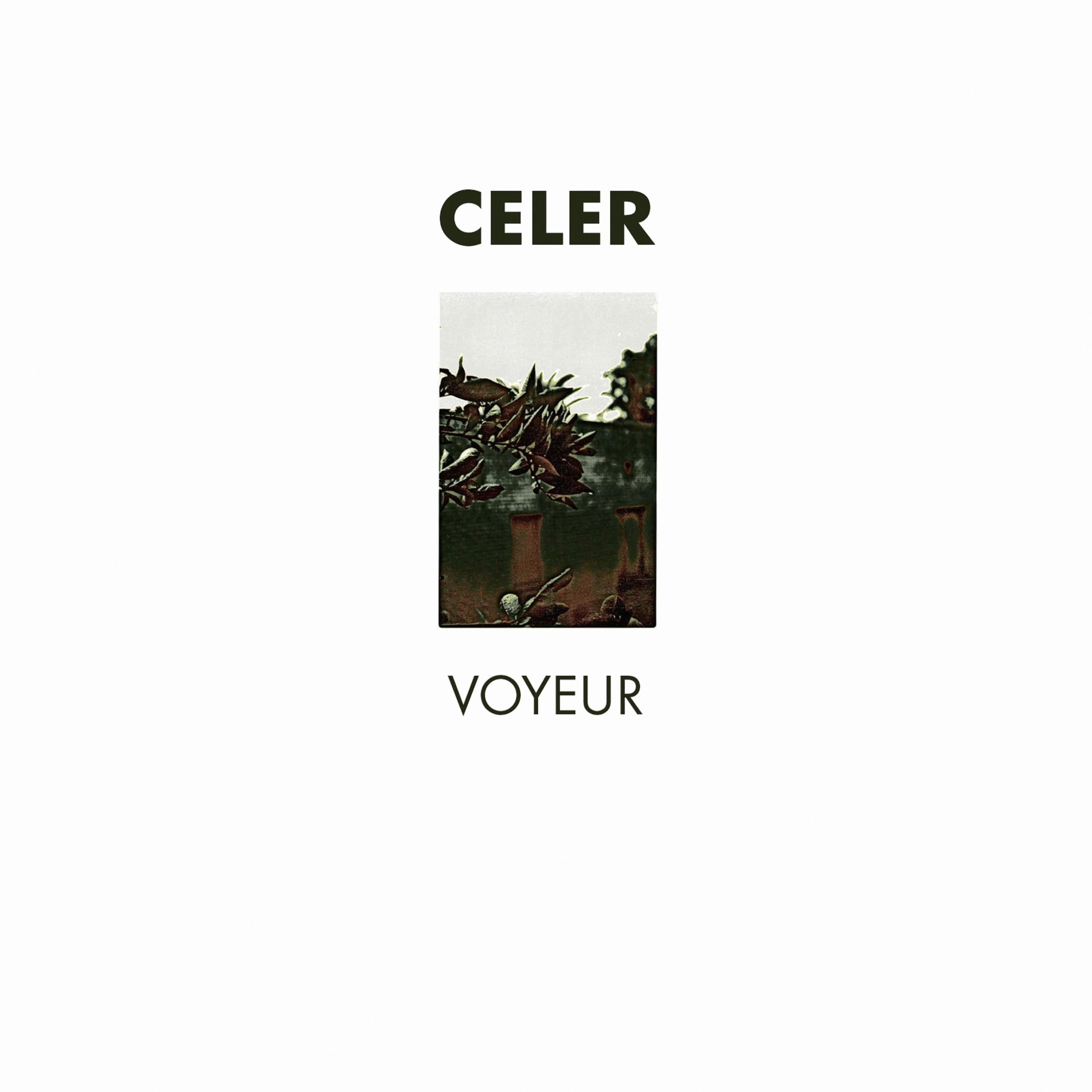Voyeur