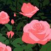 Pink roses专辑