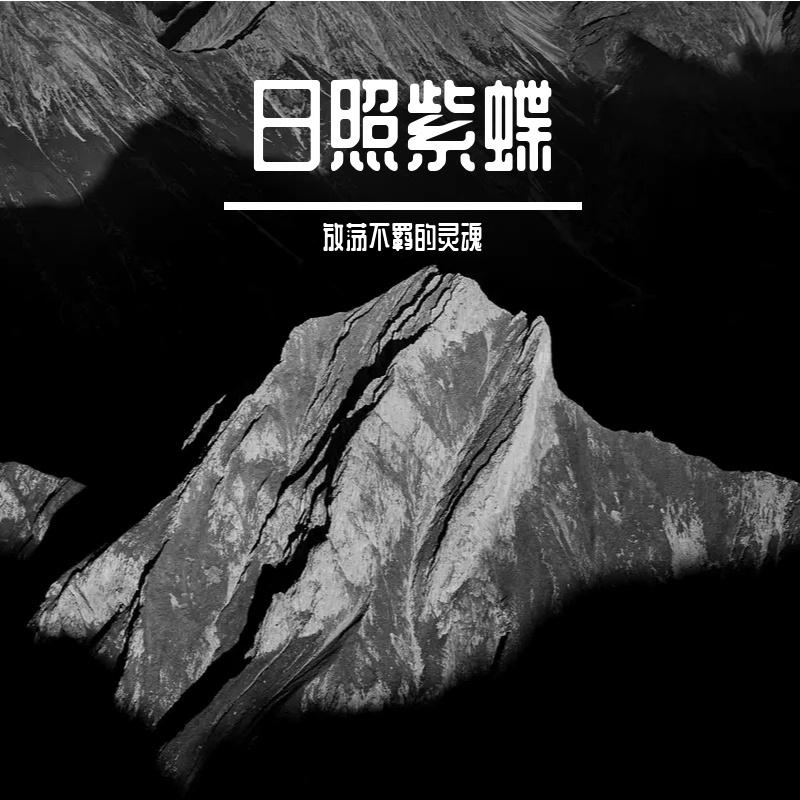 日照紫蝶