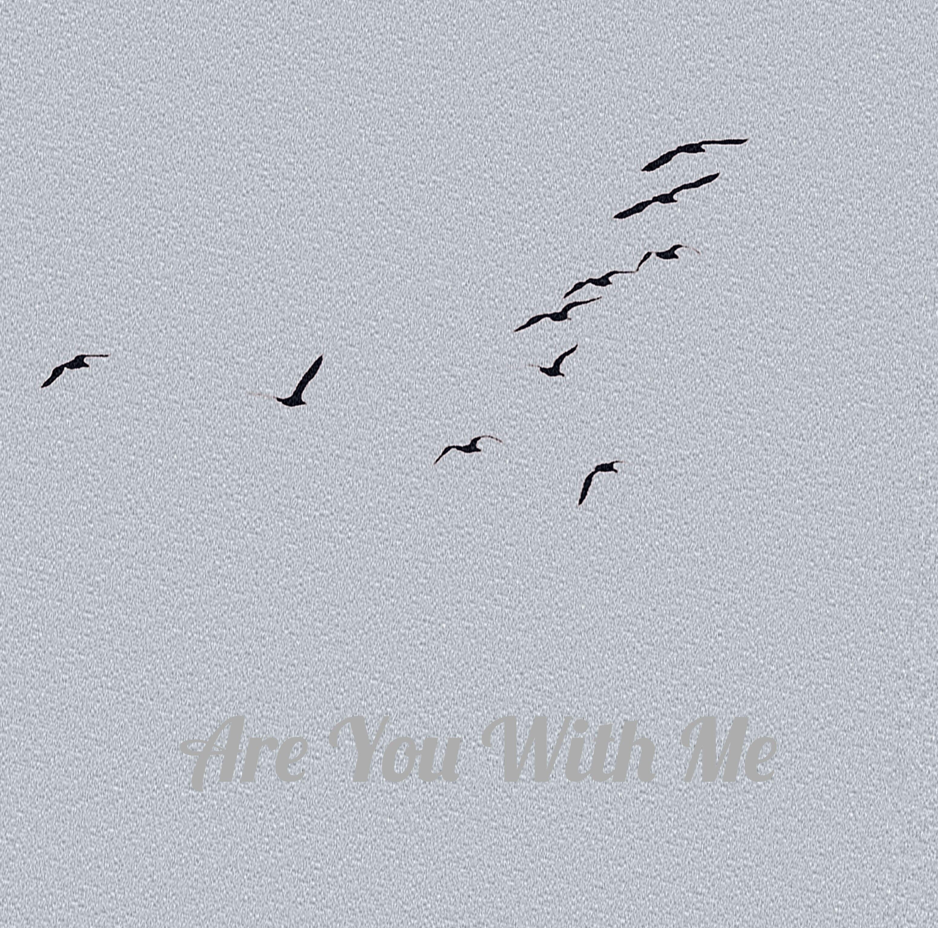 Are You With Me （Remix）专辑