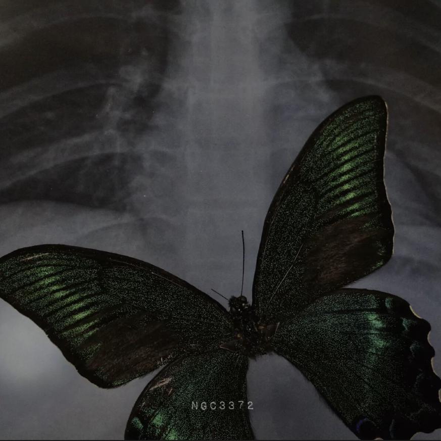 She make it clap（freestyle）