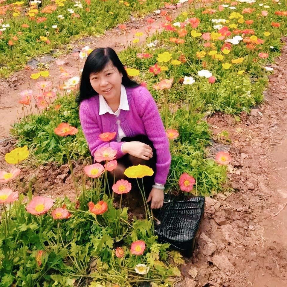 妈妈，生日快乐