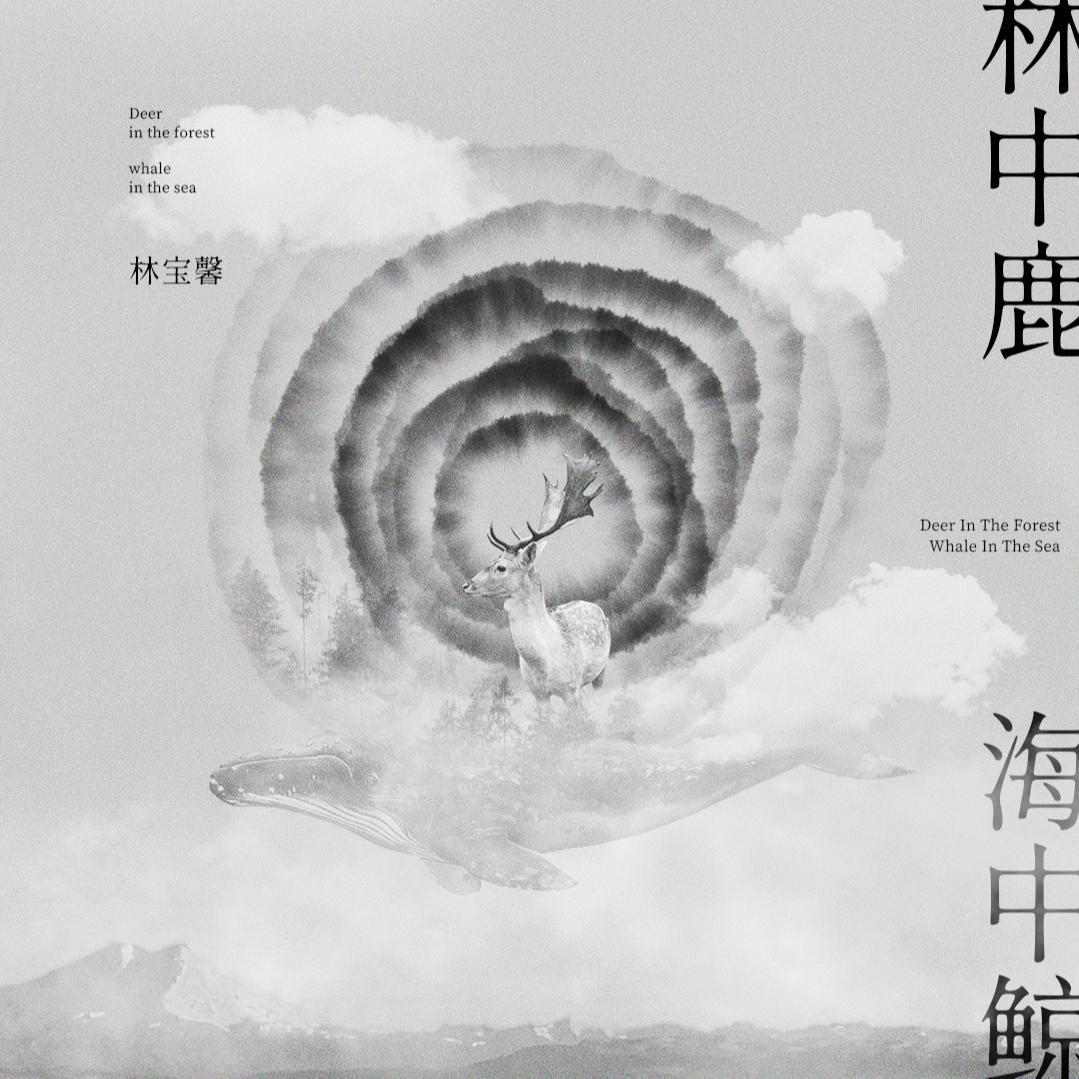 林宝馨歌曲封面