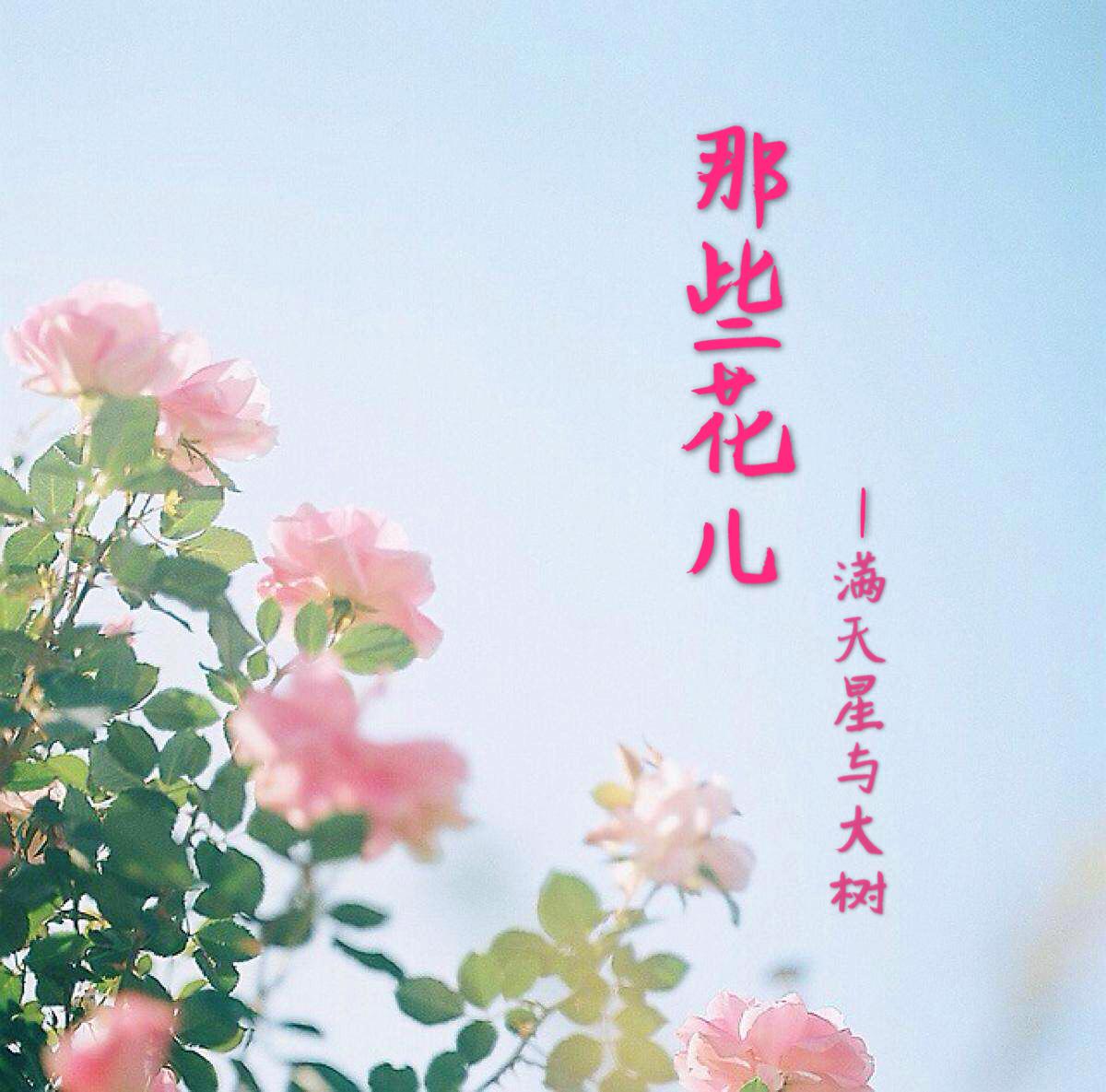 那些花儿专辑