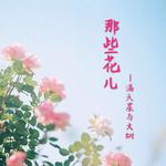 那些花儿专辑