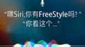 SIRI FreeStyle专辑