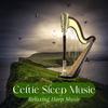 Celtic Harp Soundscapes - Celtic Meditation Melodies