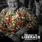 The Best of Liberace in Concert, Vol. 2专辑