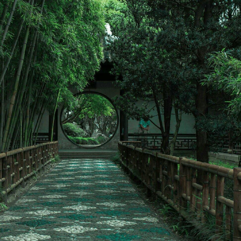 『苏州评弹』轻清柔缓 弦琶琮铮 