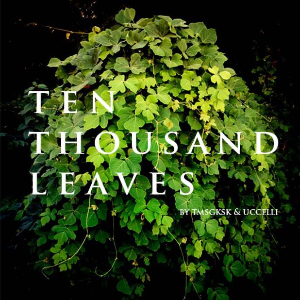 Ten Thousand Leaves