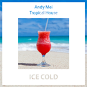 Ice Cold (清凉一夏)专辑