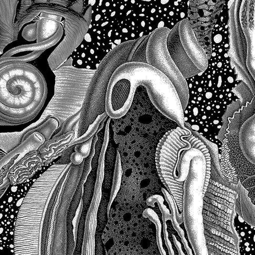 Dimensional Space
