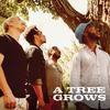 A Tree Grows - A Tree Grows