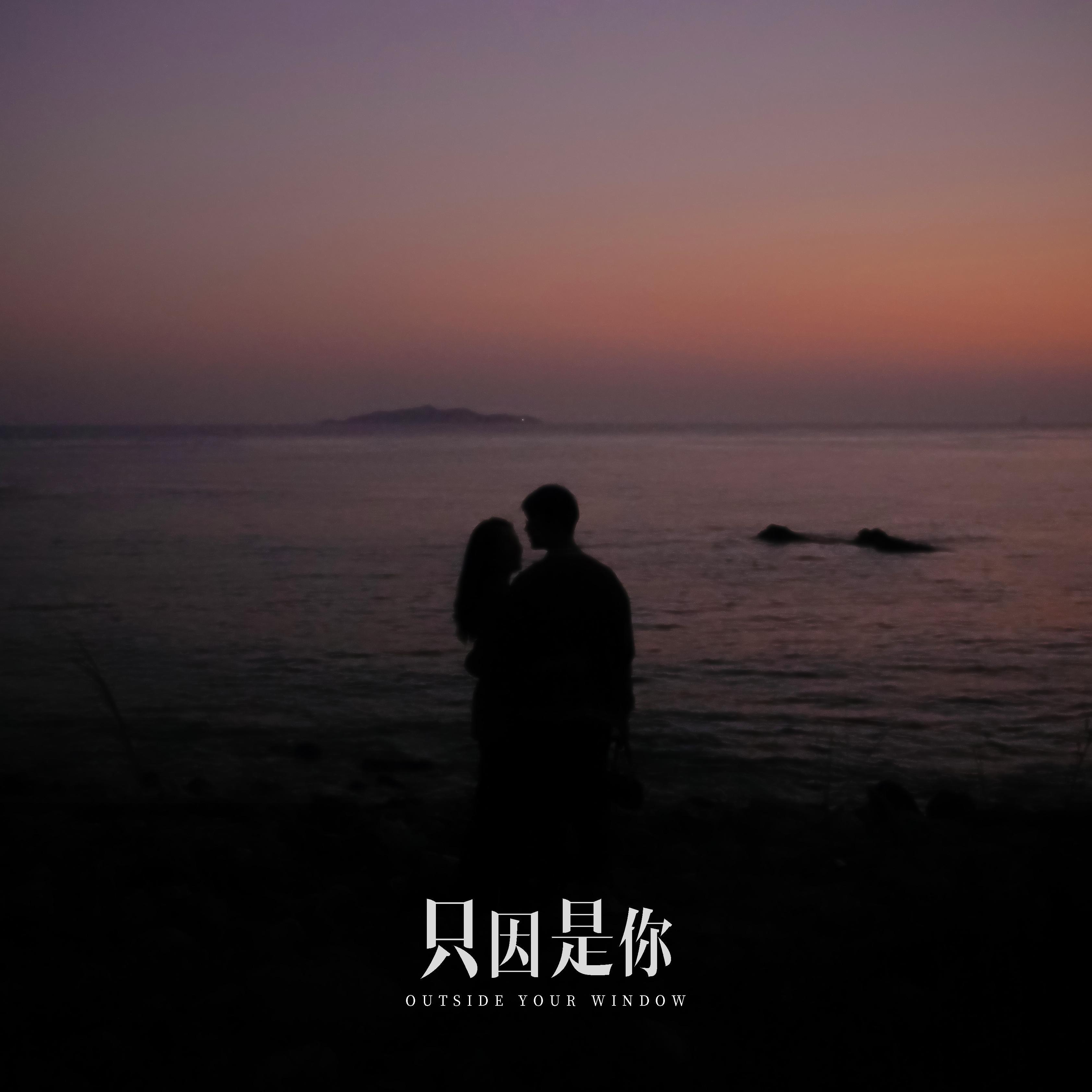 只因是你