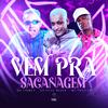 DJ FAISCA - Vem pra Sacanagem