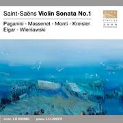 Saint-Saёns:Violin Sonata No.1 in D Minor, Op.75: I. Allegro agitato