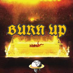 BURN UP