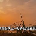 李煽情