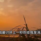 李煽情