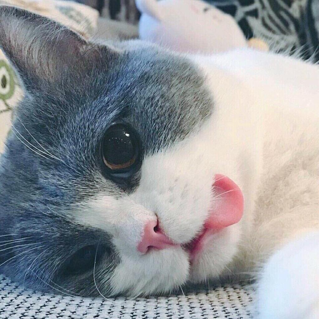 要被电死啦(ÒωÓױ) | 在线播放 | 网易云音乐