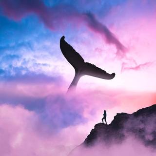 Future Bass|绚丽之心，律动梦境