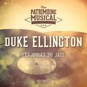 Les idoles du Jazz : Duke Ellington, Vol. 1专辑