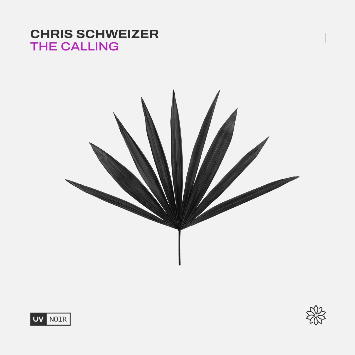 Chris Schweizer - The Calling (Extended Mix)