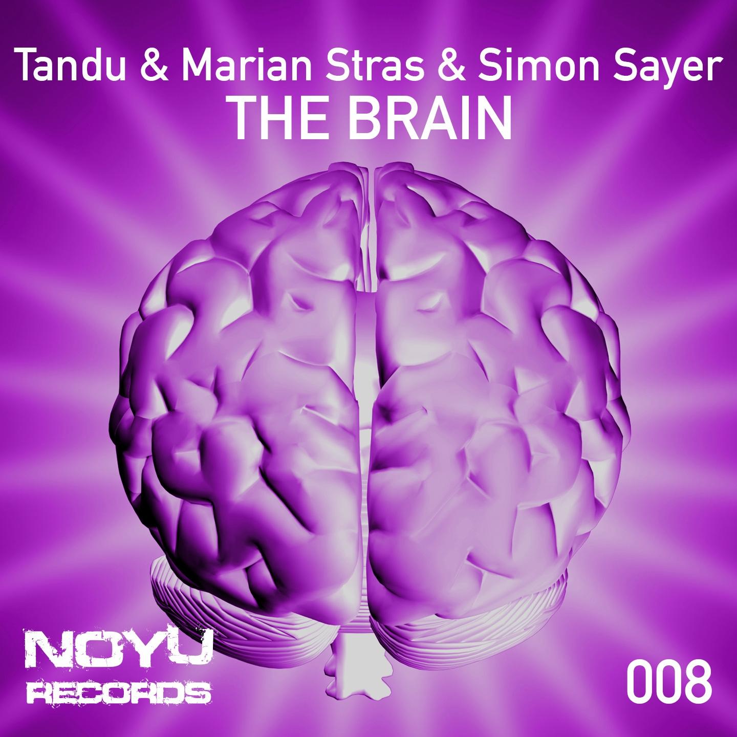 The Brain