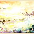 闲听落花