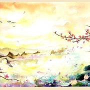 闲听落花