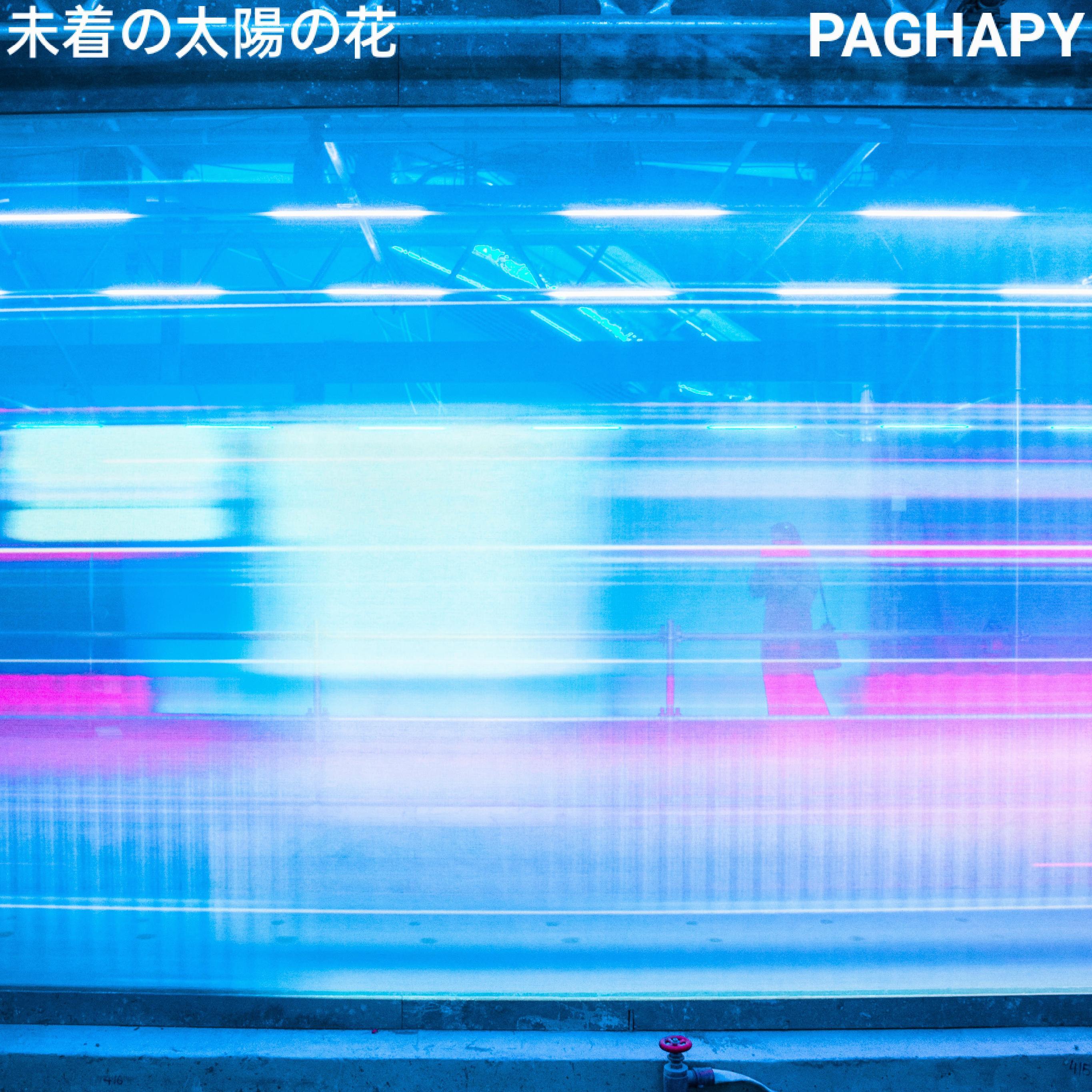 未到的太阳花