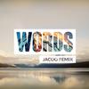 Words (Jacoo Remix)