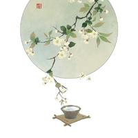 杨花落尽子规啼