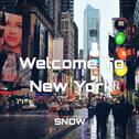 Welcome To New York专辑