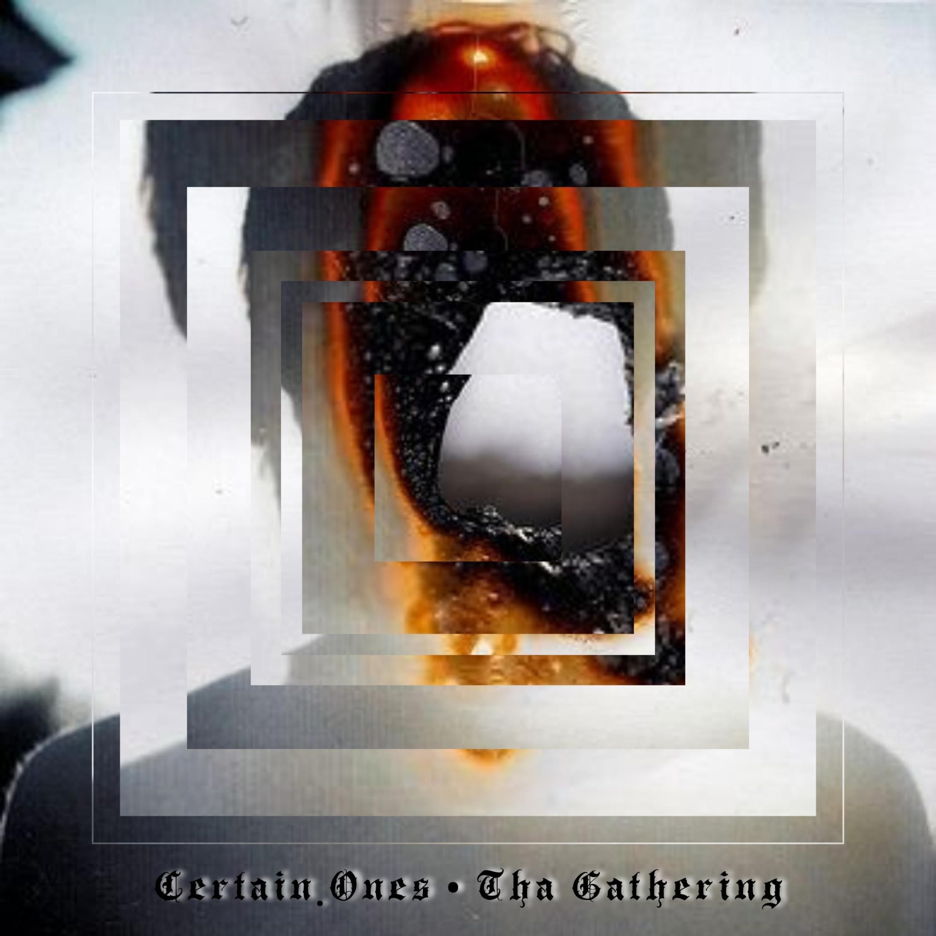 Tha Gathering (feat. Fortified Mind, Bobby Craves, Feral Serge, Dzl, Reign Supreme, Jimmi Da Grunt, Guttamouf & Wann Sklobi)