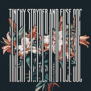 Tinchy Stryder、Fuse ODG - Imperfections （降5半音）