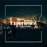 Ludovico Einaudi-Experience（AL_Ansialie金婉岚 remix）