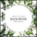 Back Home (Thomas Jack Remix)专辑