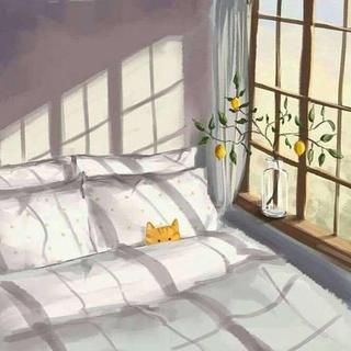 【生活】晨起时光