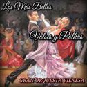 Los Más Bellos Valses y Polkas专辑
